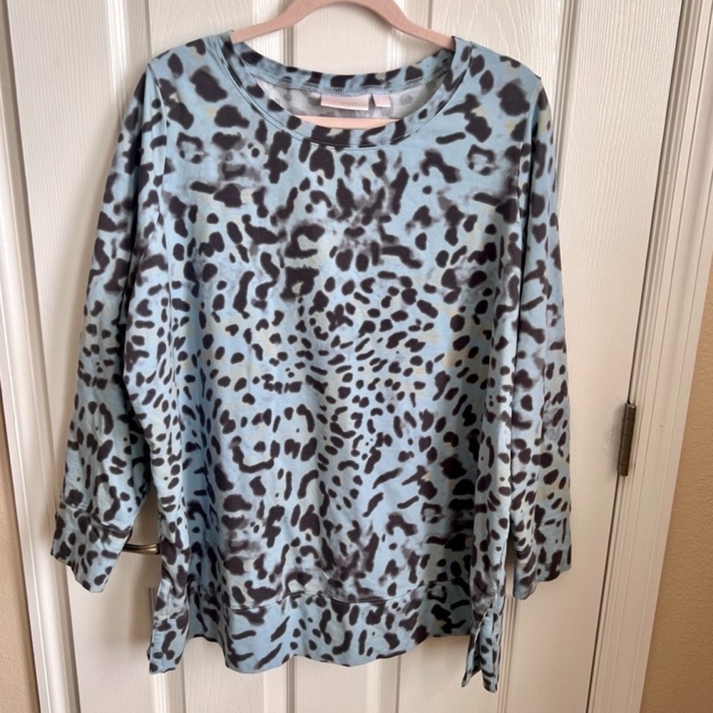 Belle Kim Gravel Animal Print Top Long Sleeve Pullover Lightweight 1X